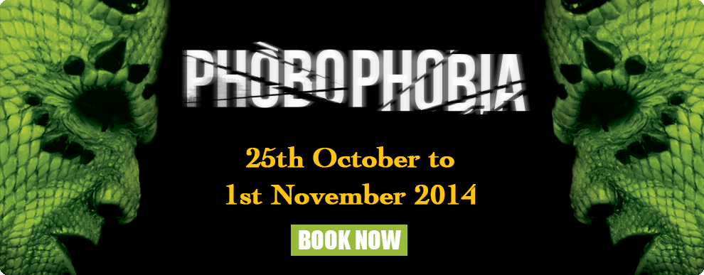 phobophobia-banner