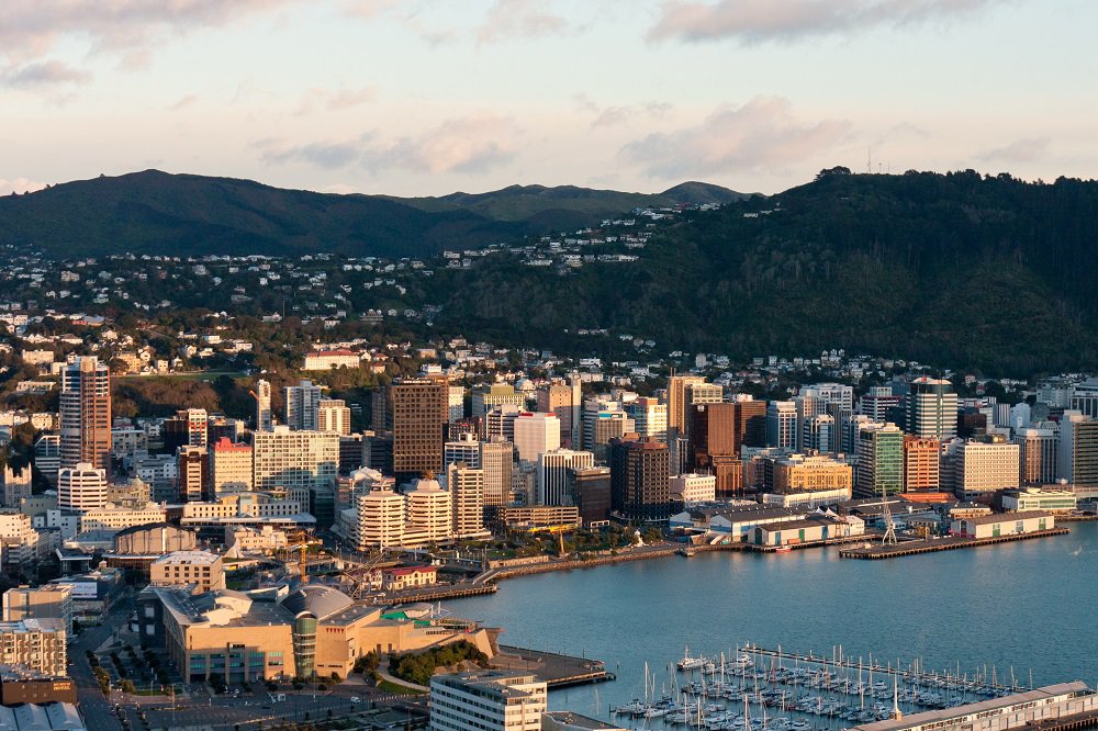 Wellington_at_dawn