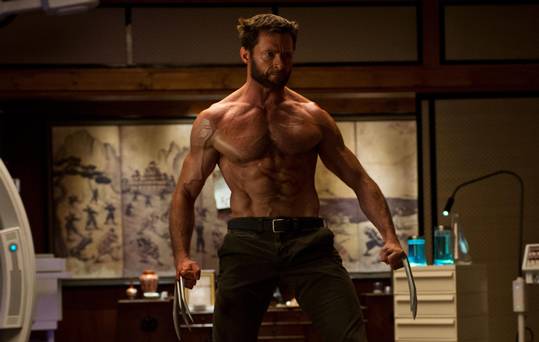 The-Wolverine