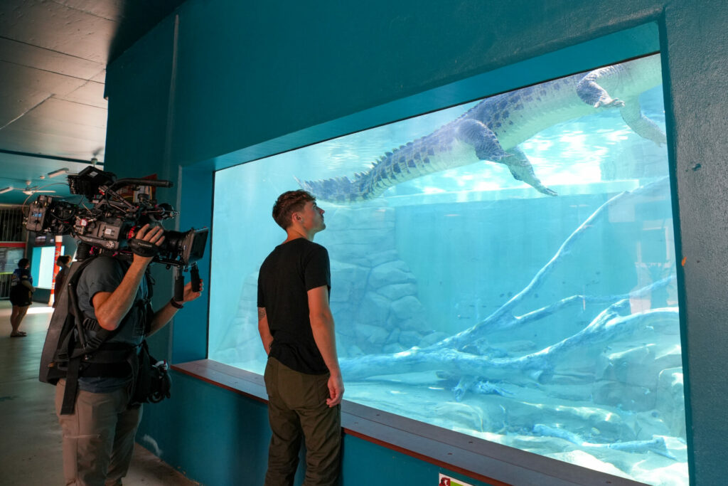 Dan O'Neill observes saltwater crocodiles