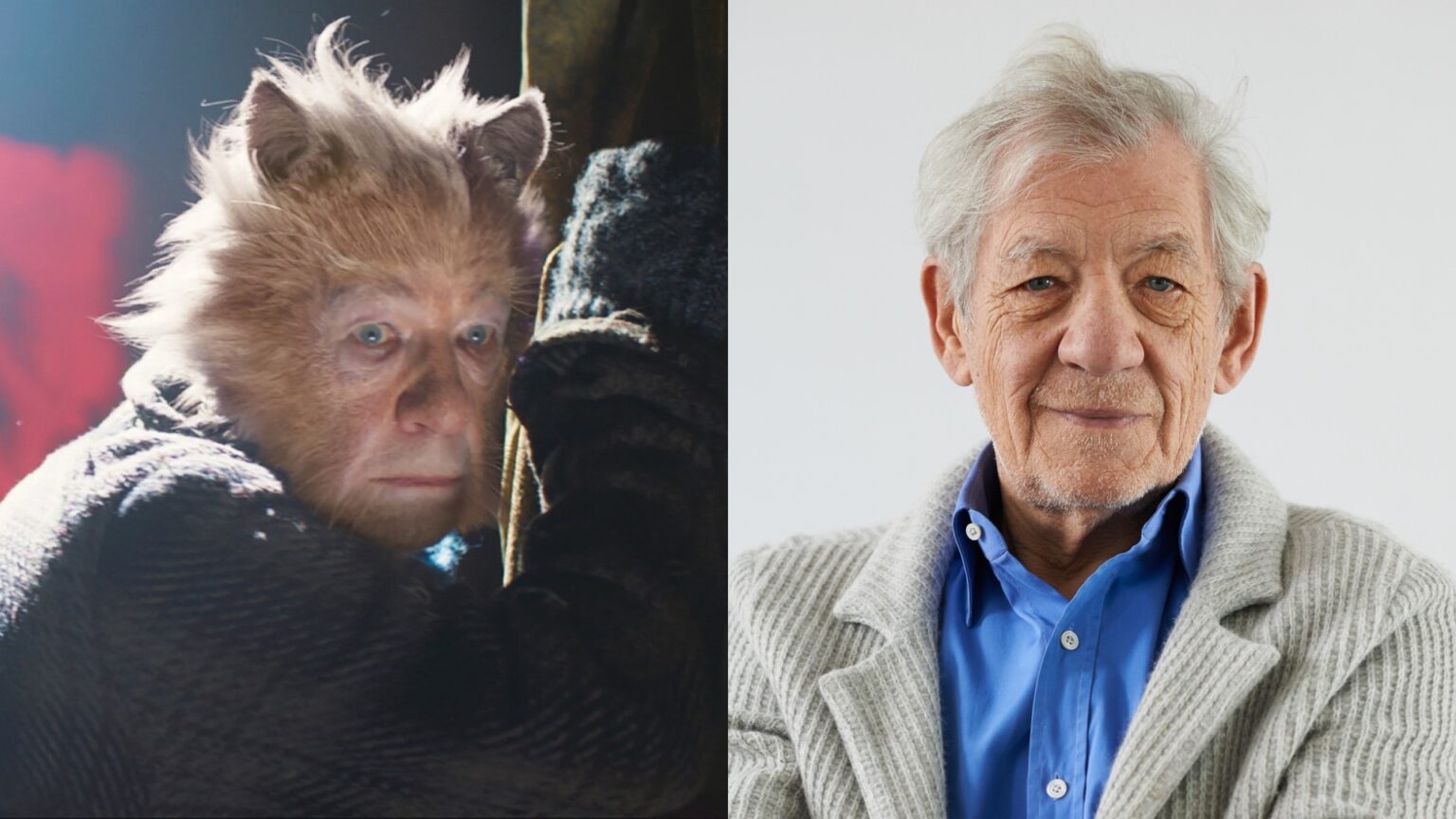 Ian McKellen reflects on critical reception to Cats four years later