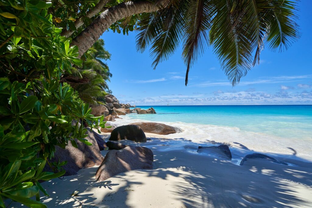 View of a tropical beach