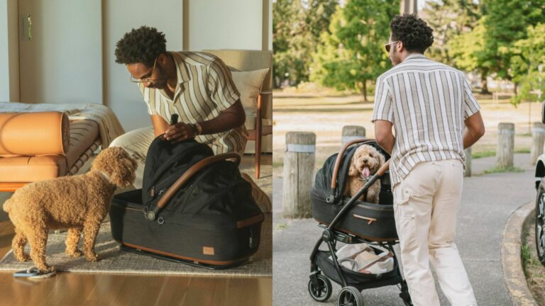Composite of a man using a pet bed and pet stroller with a toy poodle
