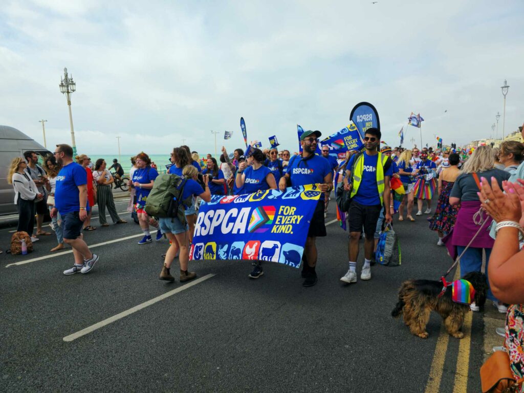 People in the Brighton Pride 2024 parade