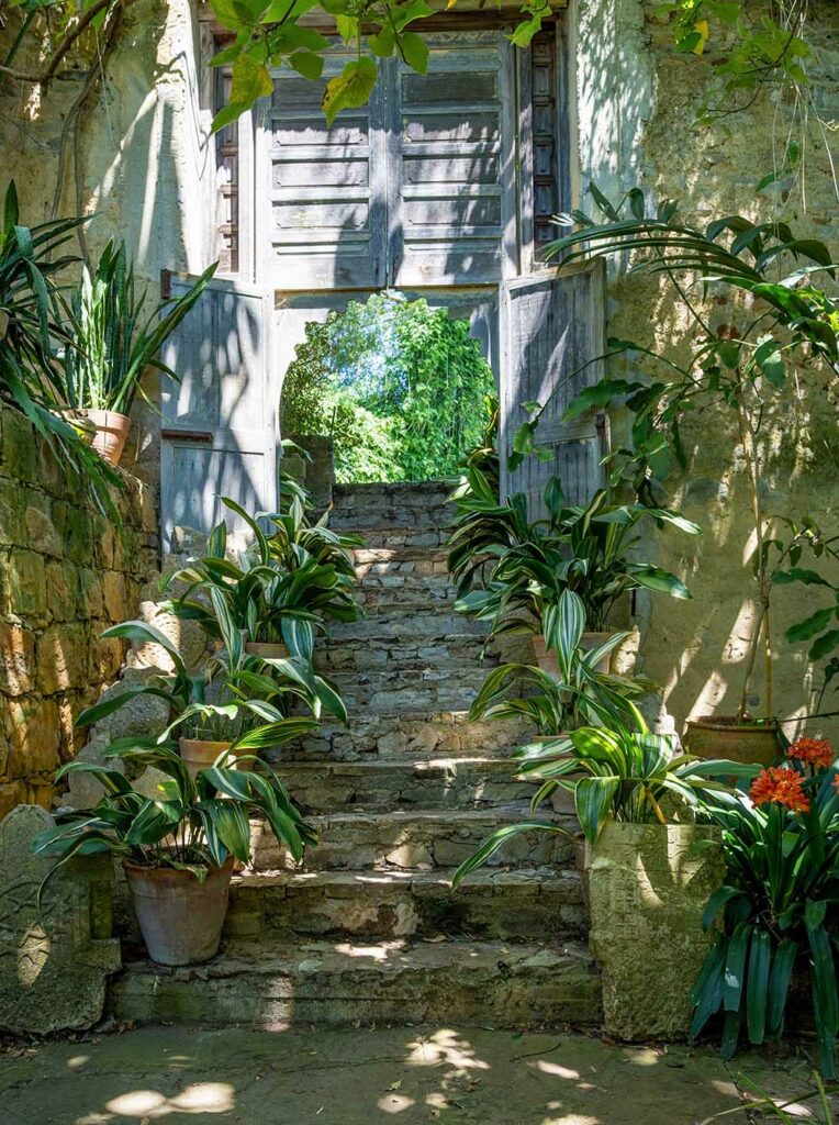 The garden at Umberto Pasti's house