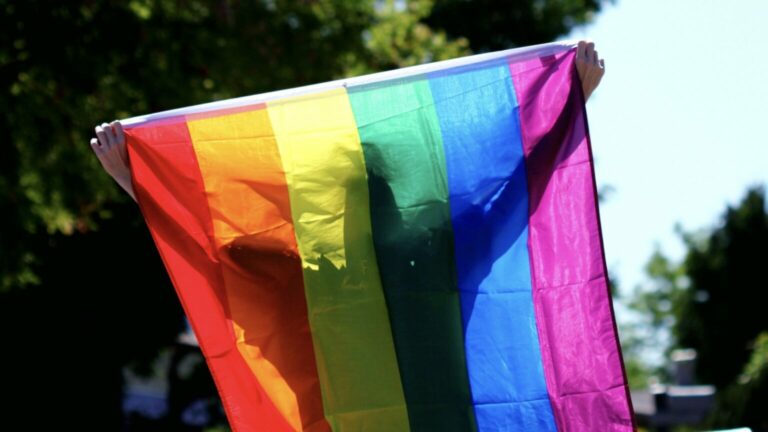 Stock image of a person holding a Pride flag