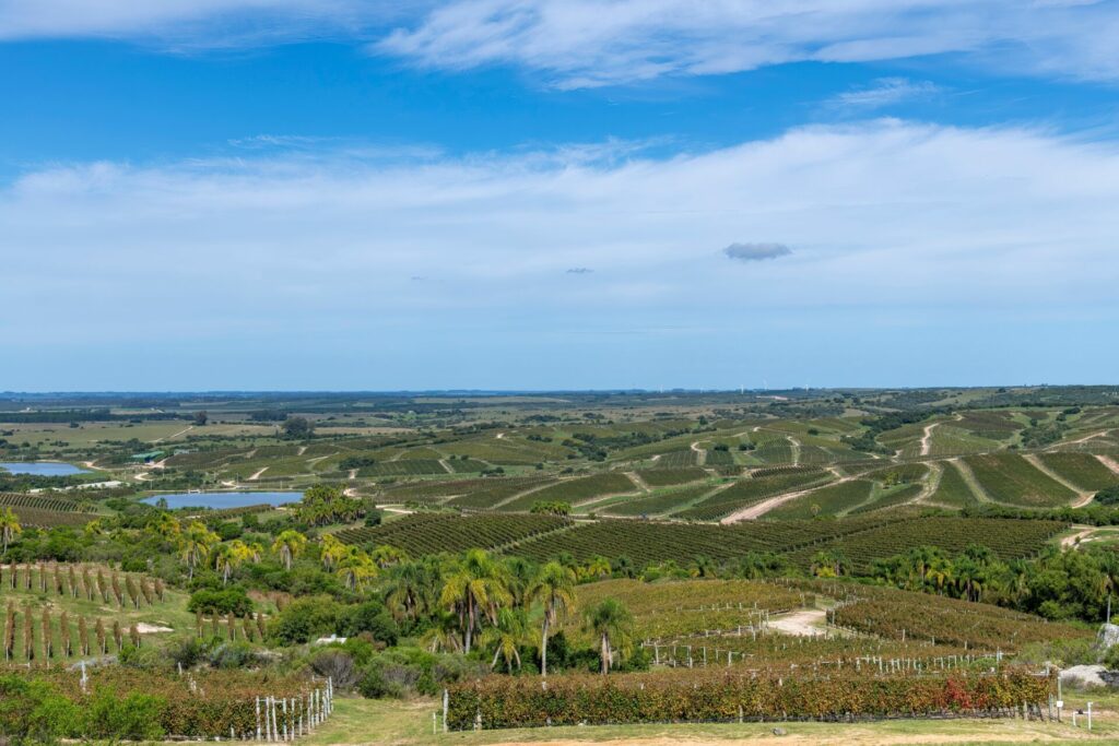 Maldonado, Uruguay 