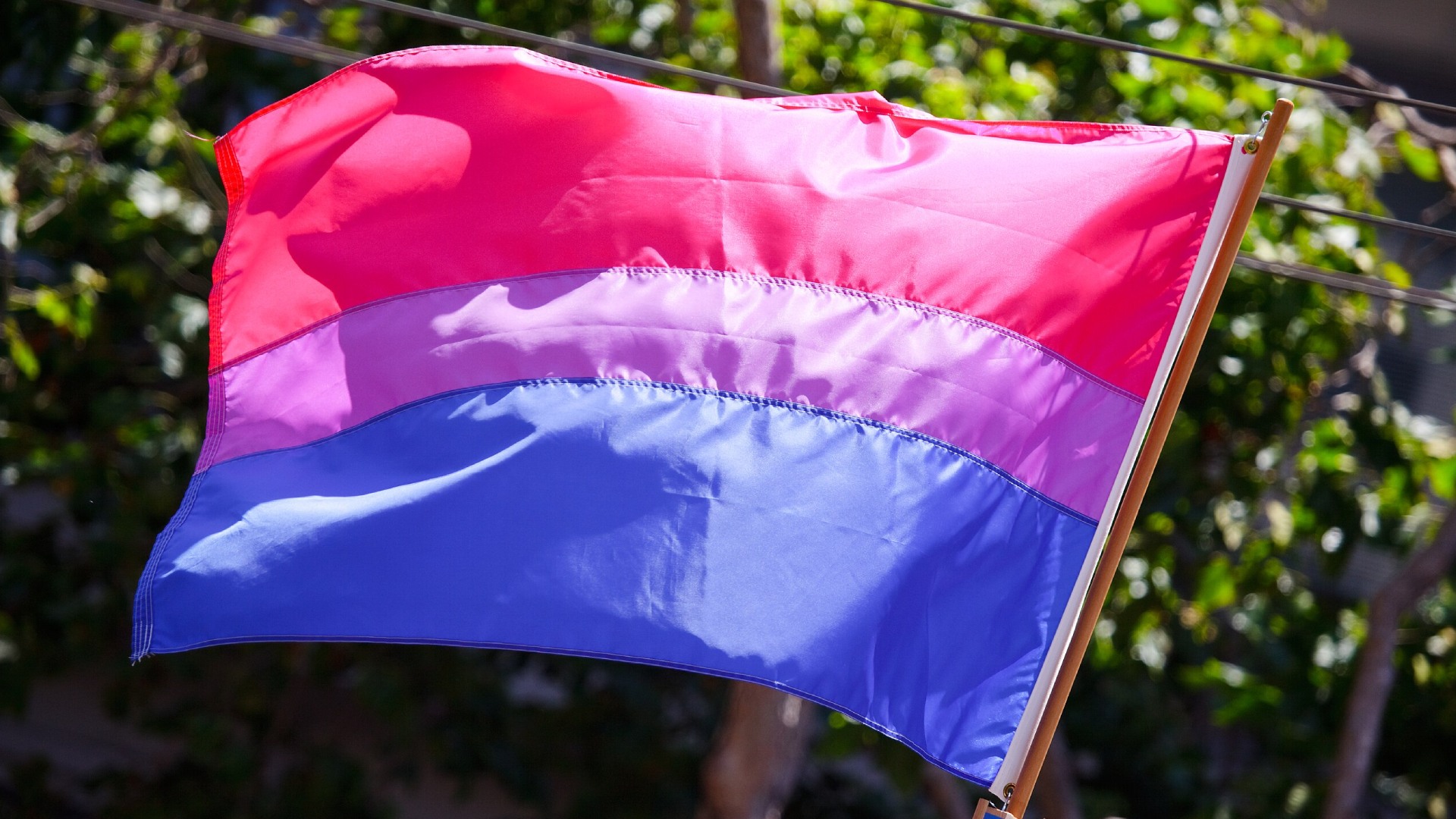 The bisexual flag (pink, purple and blue stripes)