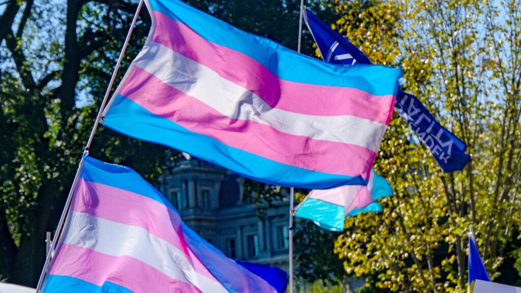 The trans pride flag