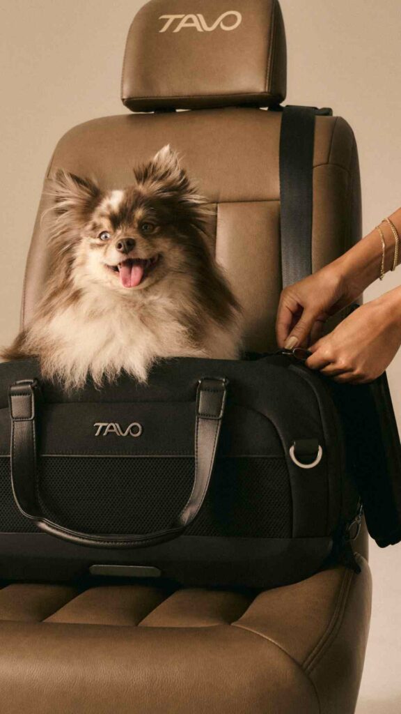 Tavo Dupree pet carrier on an airline seat with a small dog inside it