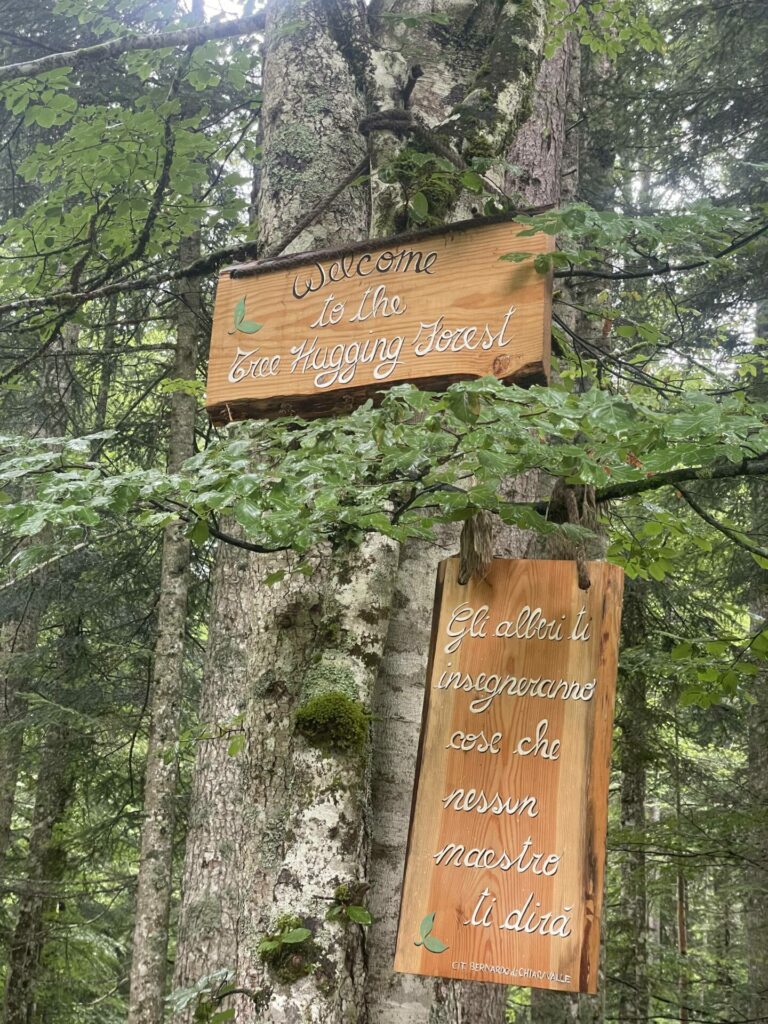 Sign for 'tree hugging' forest