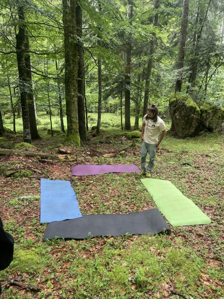 Yoga mats in forest for meditation 