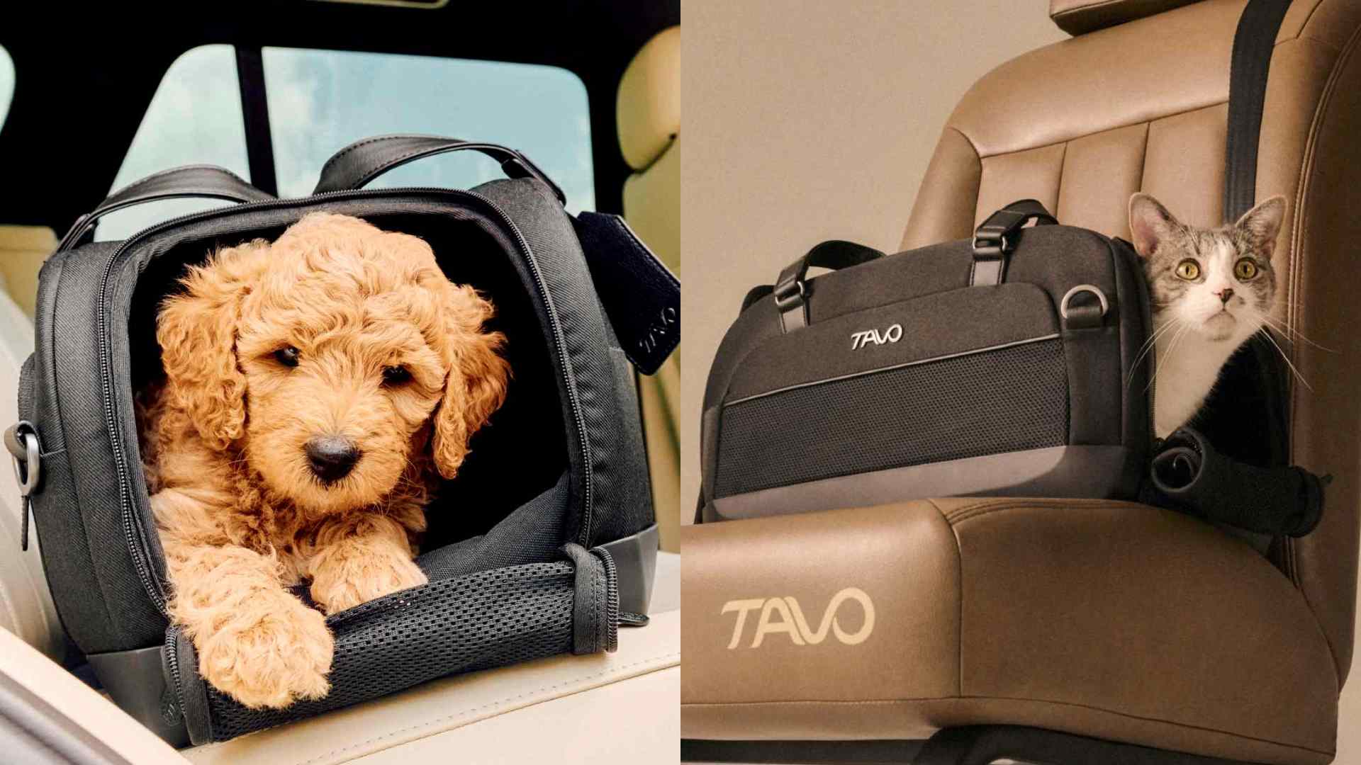 Composite of a dog in the Tavo Dupree pet carrier and a cat in the carrier on an aeroplane seat