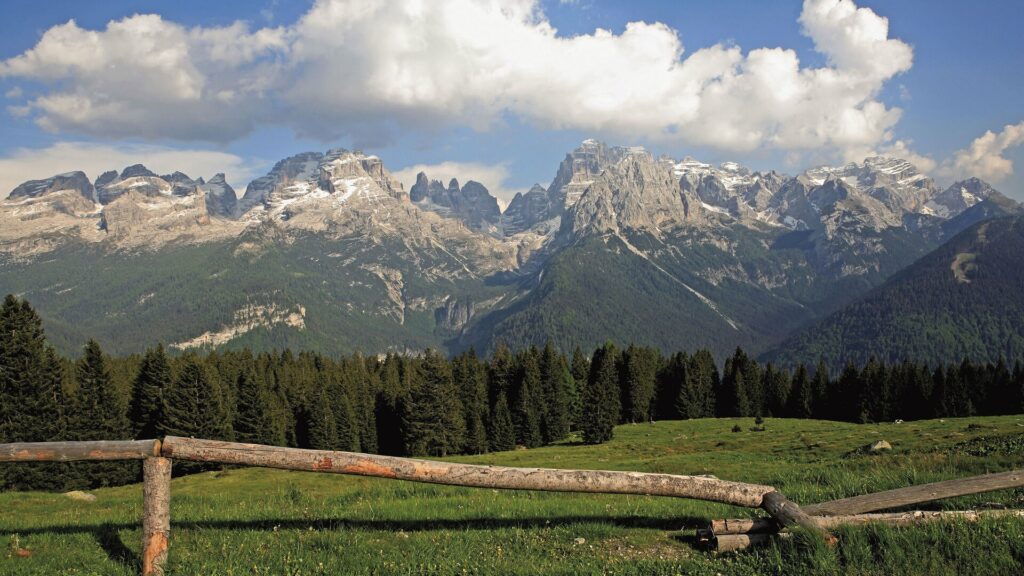 Dolomites mountains and trees scenery