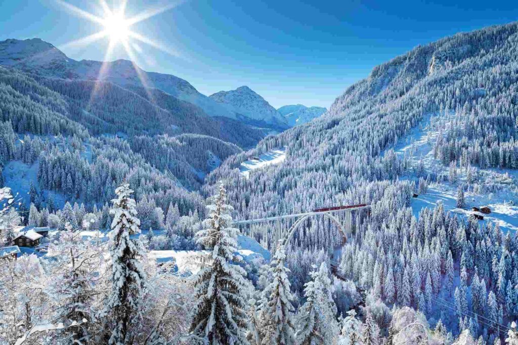 Snowy tree filled mountains in the Alps