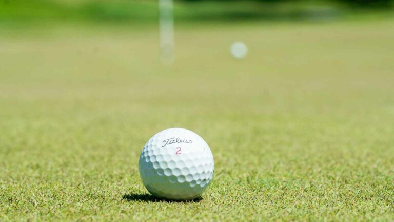 Golf ball on a green.