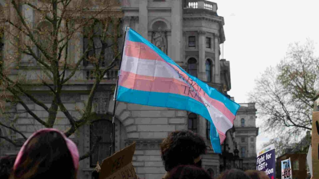 Trans flag