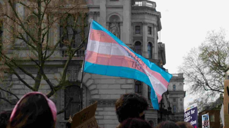 Trans flag